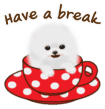 Cute White Pomeranian (English Ver.) sticker #11032709