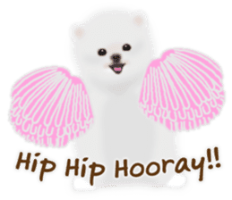 Cute White Pomeranian (English Ver.) sticker #11032710
