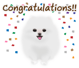 Cute White Pomeranian (English Ver.) sticker #11032711