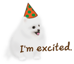 Cute White Pomeranian (English Ver.) sticker #11032714