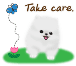 Cute White Pomeranian (English Ver.) sticker #11032716