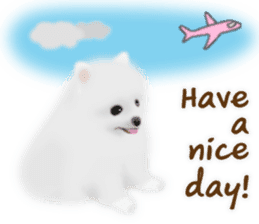 Cute White Pomeranian (English Ver.) sticker #11032717
