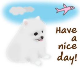 Cute White Pomeranian (English Ver.) sticker #11032717