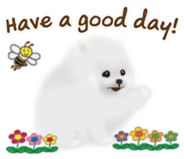 Cute White Pomeranian (English Ver.) sticker #11032718