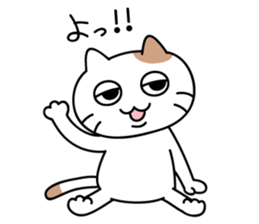 daily conversation send from cat sticker #11033640