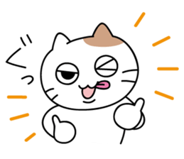 daily conversation send from cat sticker #11033644