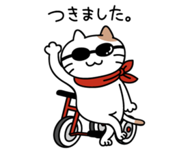 daily conversation send from cat sticker #11033647