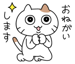 daily conversation send from cat sticker #11033650