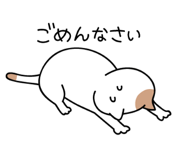 daily conversation send from cat sticker #11033652