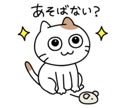 daily conversation send from cat sticker #11033653