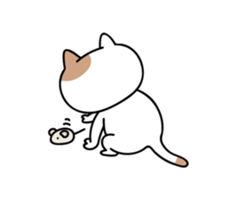 daily conversation send from cat sticker #11033654