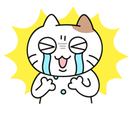 daily conversation send from cat sticker #11033657