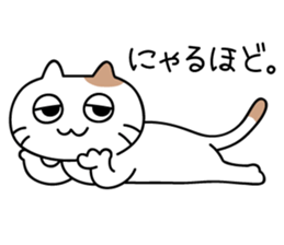 daily conversation send from cat sticker #11033660