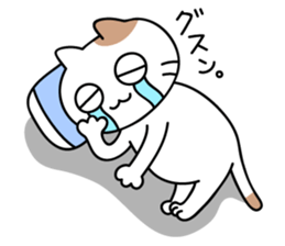 daily conversation send from cat sticker #11033666