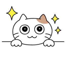 daily conversation send from cat sticker #11033671