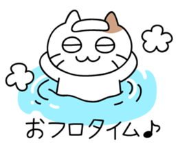 daily conversation send from cat sticker #11033675