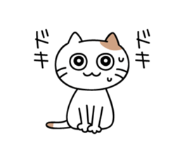 daily conversation send from cat sticker #11033676