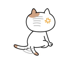 daily conversation send from cat sticker #11033678