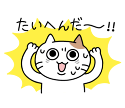 daily conversation send from cat sticker #11033679