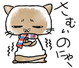 Cute Exotic Shorthair sticker #11034490