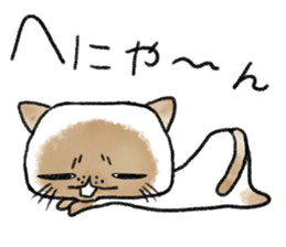 Cute Exotic Shorthair sticker #11034491