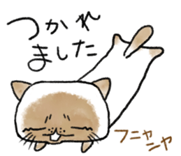 Cute Exotic Shorthair sticker #11034494