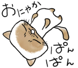 Cute Exotic Shorthair sticker #11034499