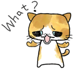 Cute Exotic Shorthair sticker #11034507