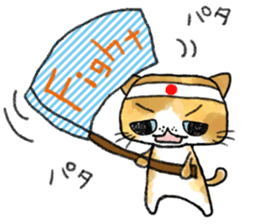 Cute Exotic Shorthair sticker #11034517