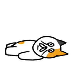 Goofy  cat sticker #11035573