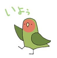 peach-faced lovebird "kozahaji" sticker #11038080