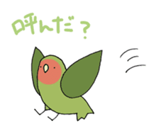 peach-faced lovebird "kozahaji" sticker #11038089