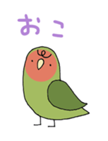 peach-faced lovebird "kozahaji" sticker #11038098
