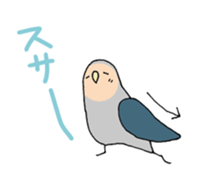 peach-faced lovebird "kozahaji" sticker #11038105