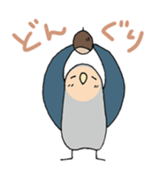 peach-faced lovebird "kozahaji" sticker #11038118