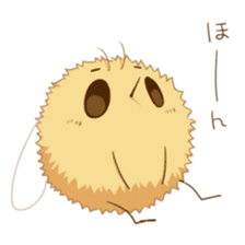 Cute!Anastoechus nitidulus sticker #11039954