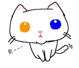 Cat house sticker #11042488