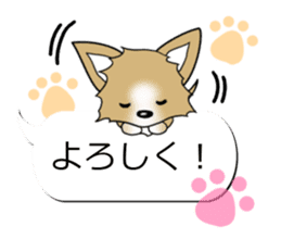 Sticker of Conversation Chihuahua sticker #11042853