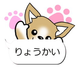 Sticker of Conversation Chihuahua sticker #11042863