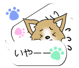 Sticker of Conversation Chihuahua sticker #11042871