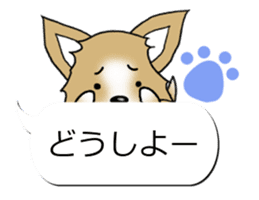 Sticker of Conversation Chihuahua sticker #11042872
