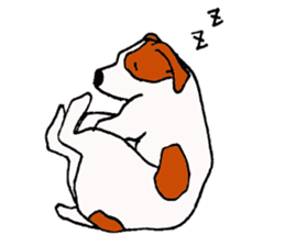 funny dog's life (JRT LIFE) sticker #11047618