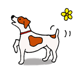 funny dog's life (JRT LIFE) sticker #11047619