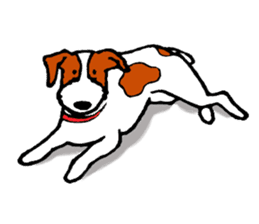 funny dog's life (JRT LIFE) sticker #11047629
