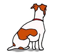 funny dog's life (JRT LIFE) sticker #11047632