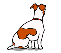 funny dog's life (JRT LIFE) sticker #11047632