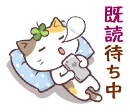 Cats & Clover 5 sticker #11047767