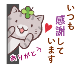 Cats & Clover 5 sticker #11047776