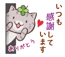 Cats & Clover 5 sticker #11047776