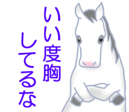 My sweet white horse sticker #11048401